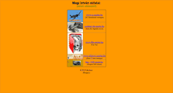 Desktop Screenshot of miskolcpince.emiter.hu